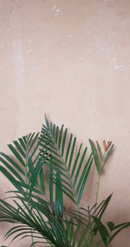 Walls That Tell Your Story!